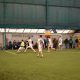 fc noua, piatra craiului, teren de fobal